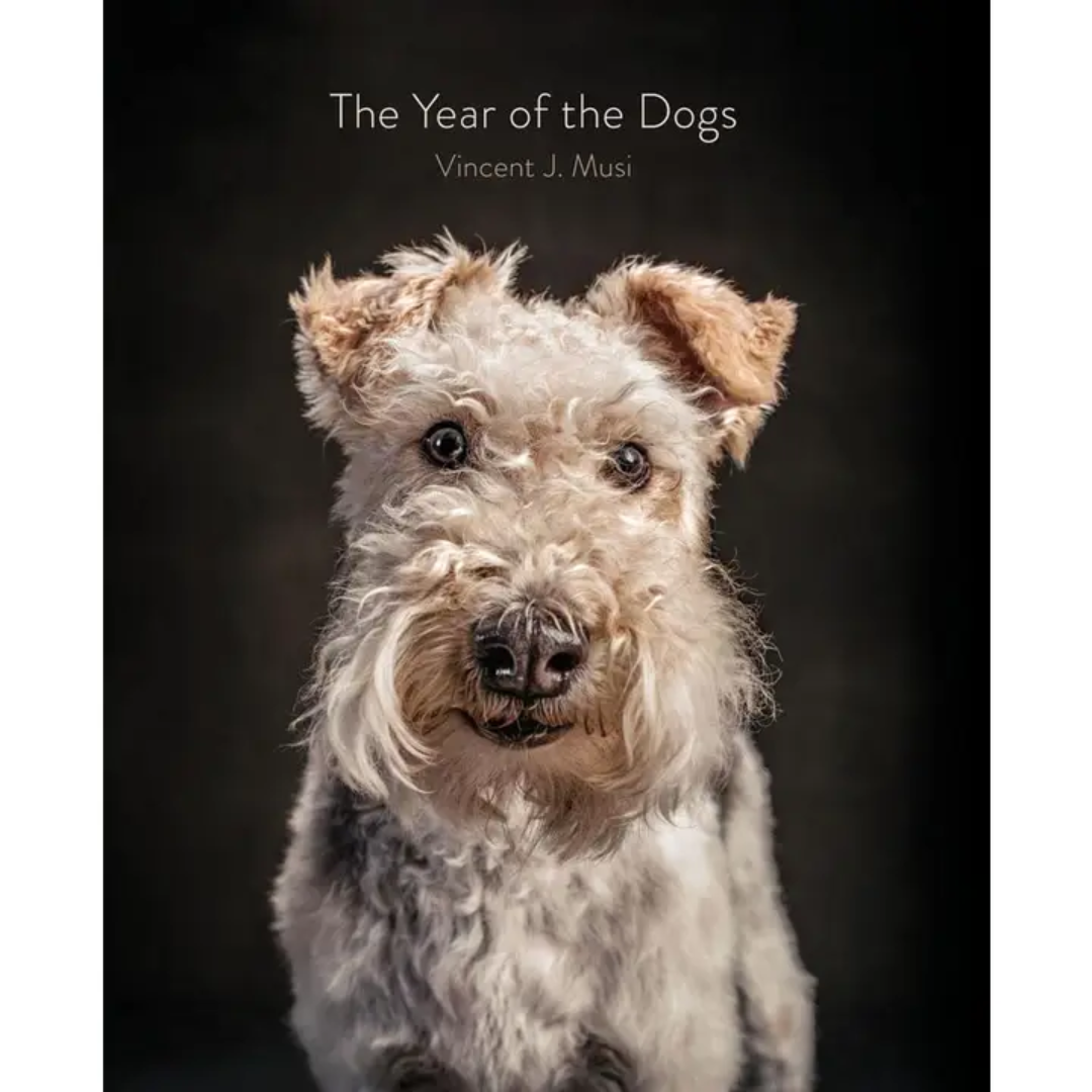 The Year of the Dogs