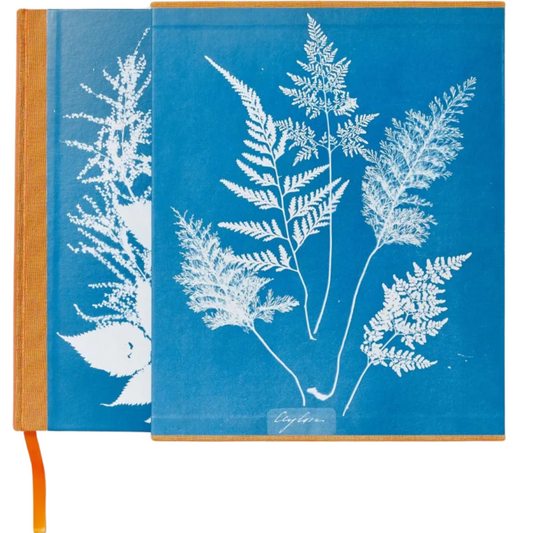 Cyanotypes