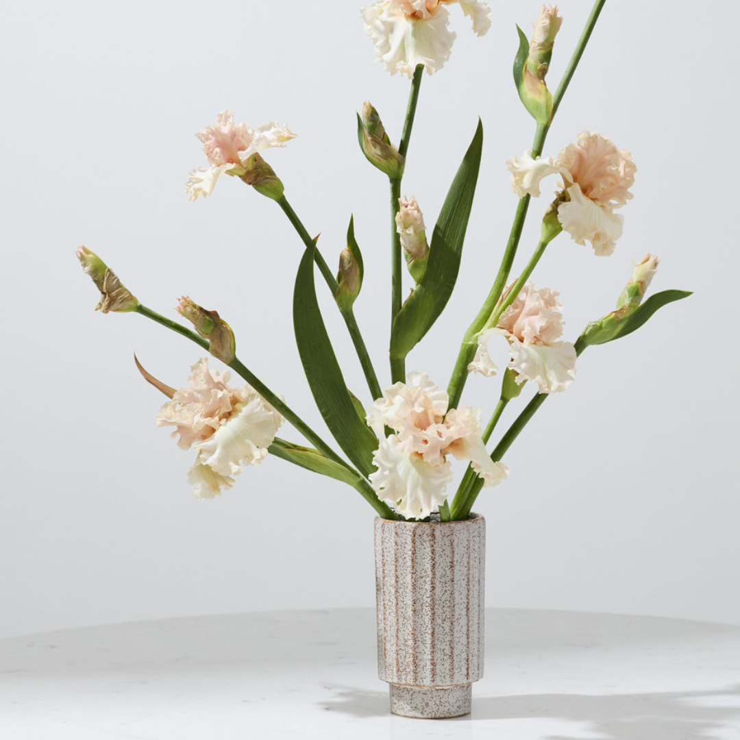 Corley Vase Collection