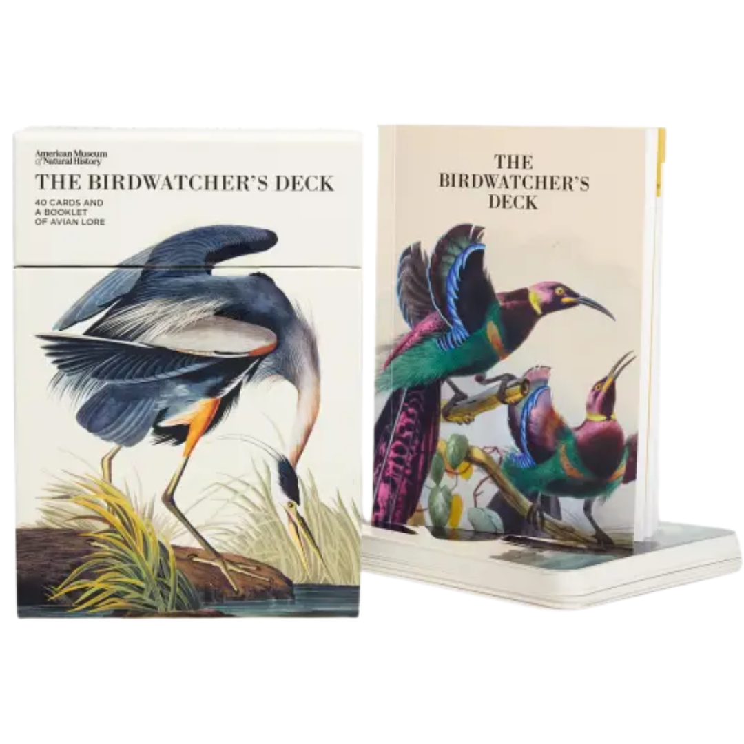 The Birdwatcher's Deck