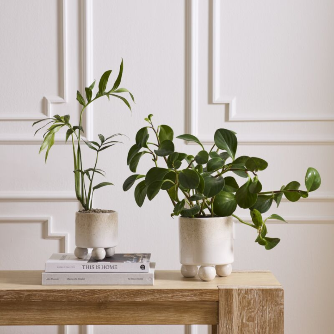 Branco Pot Collection