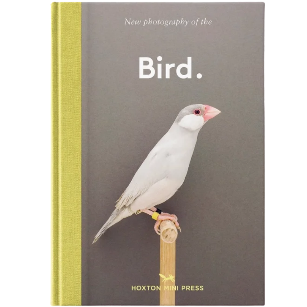Bird.