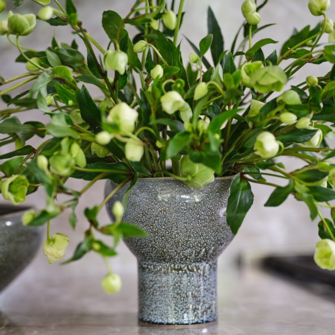 Freestone Collection