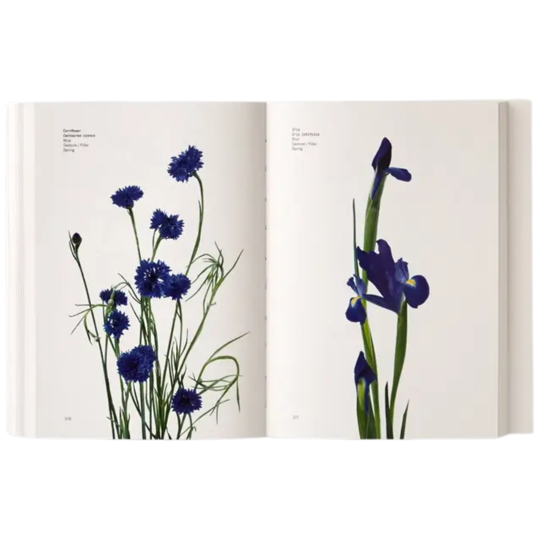 Flower Color Guide