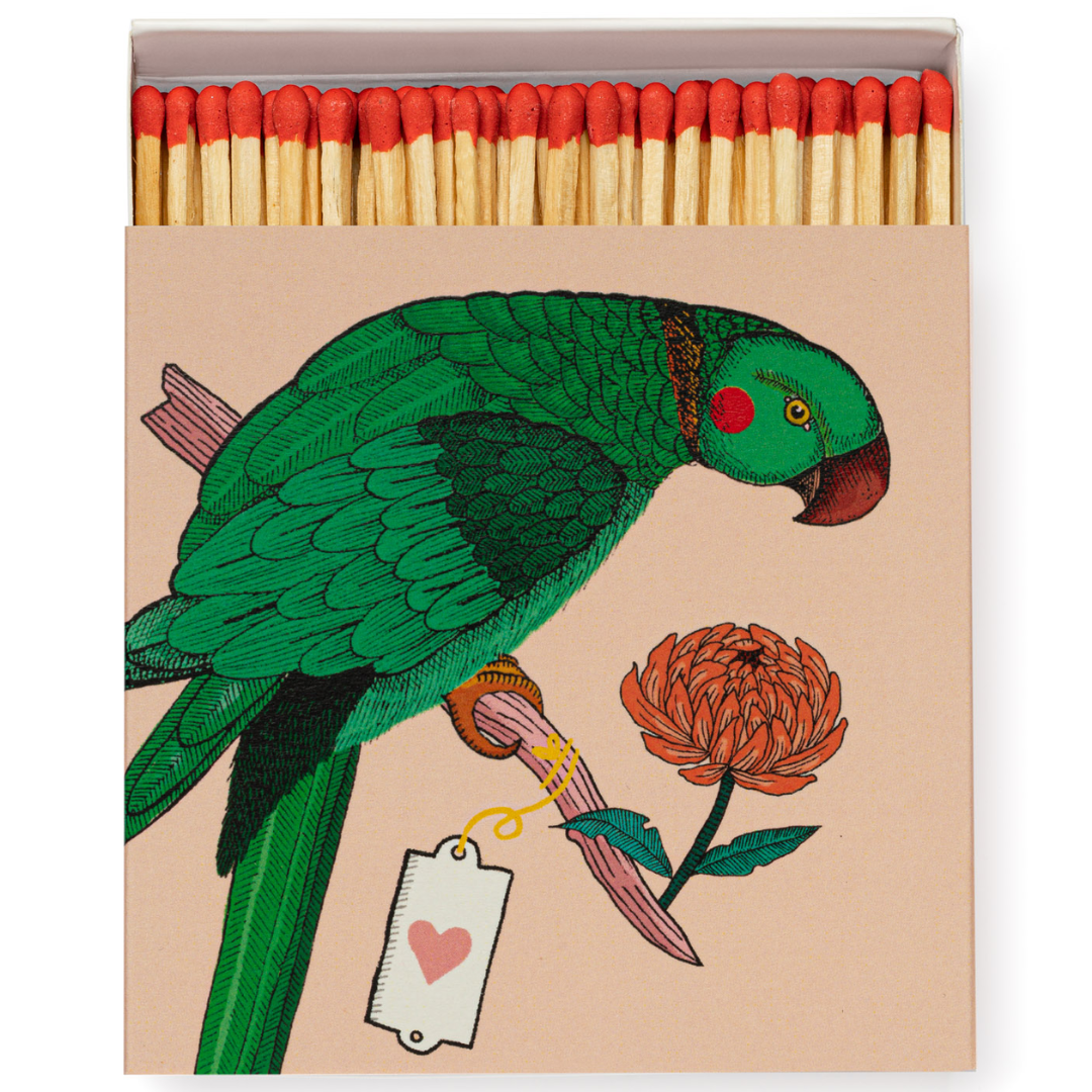 Archivist Safety Matches