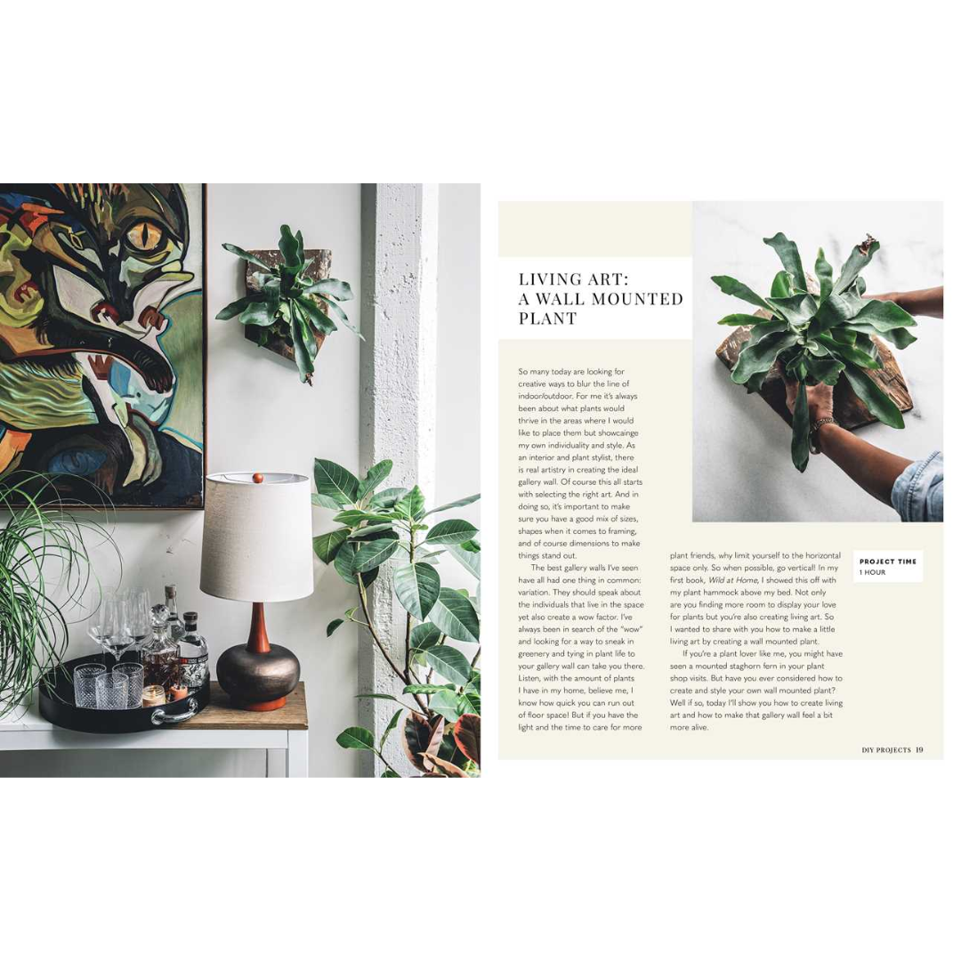 Wild Creations: Inspiring Projects to Create Plus Plant Care Tips & Styling Ideas for Your Own Wild Interior