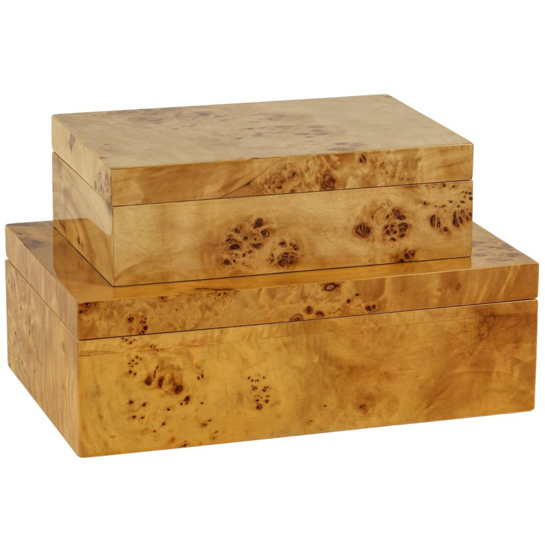 Leiden Burlwood Box Collection