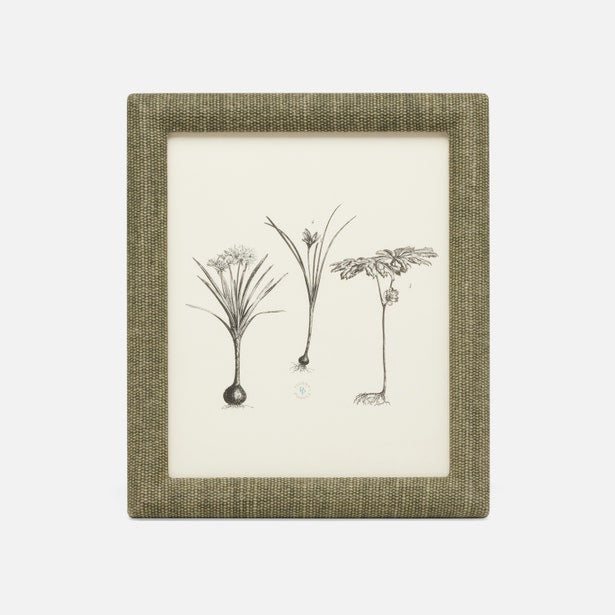 Kemi Frame Collection
