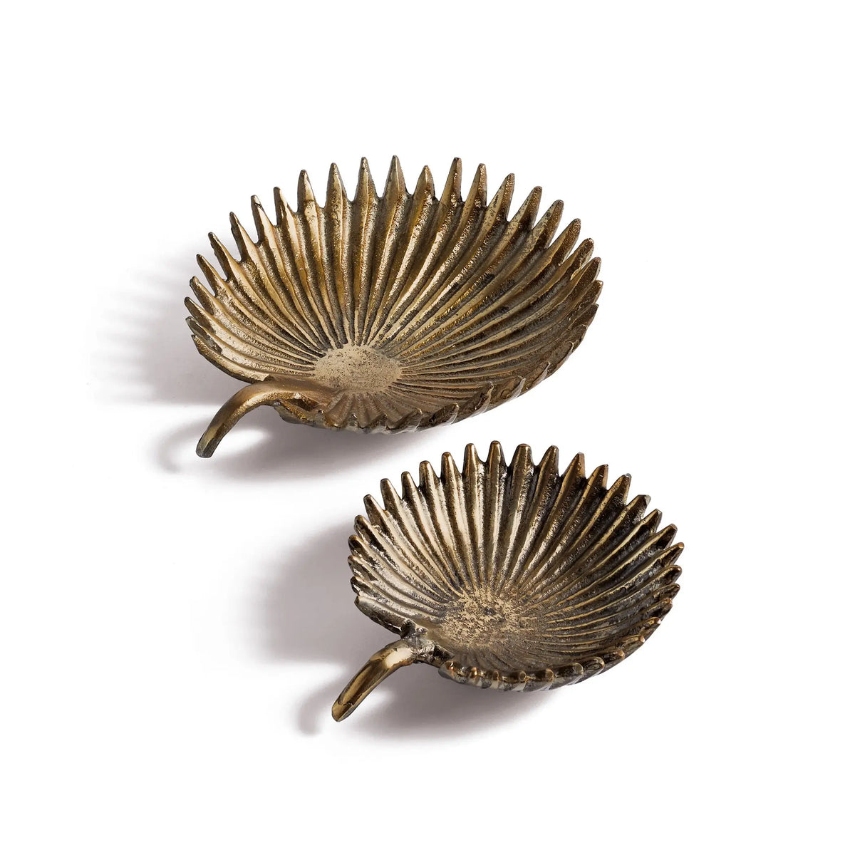 Palm Dish Collection