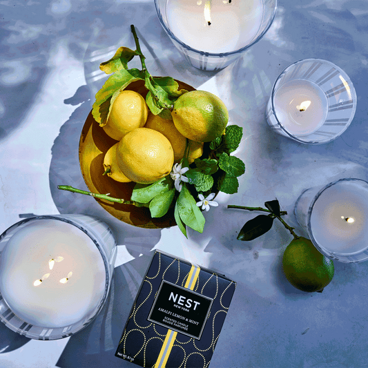 CLASSIC by NEST Collection