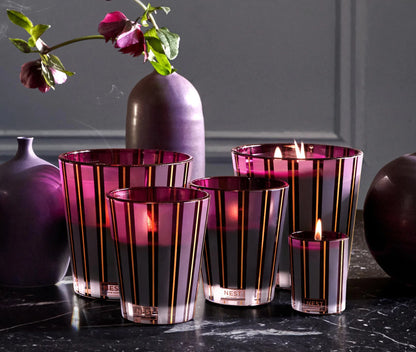 Autumn Plum by Nest