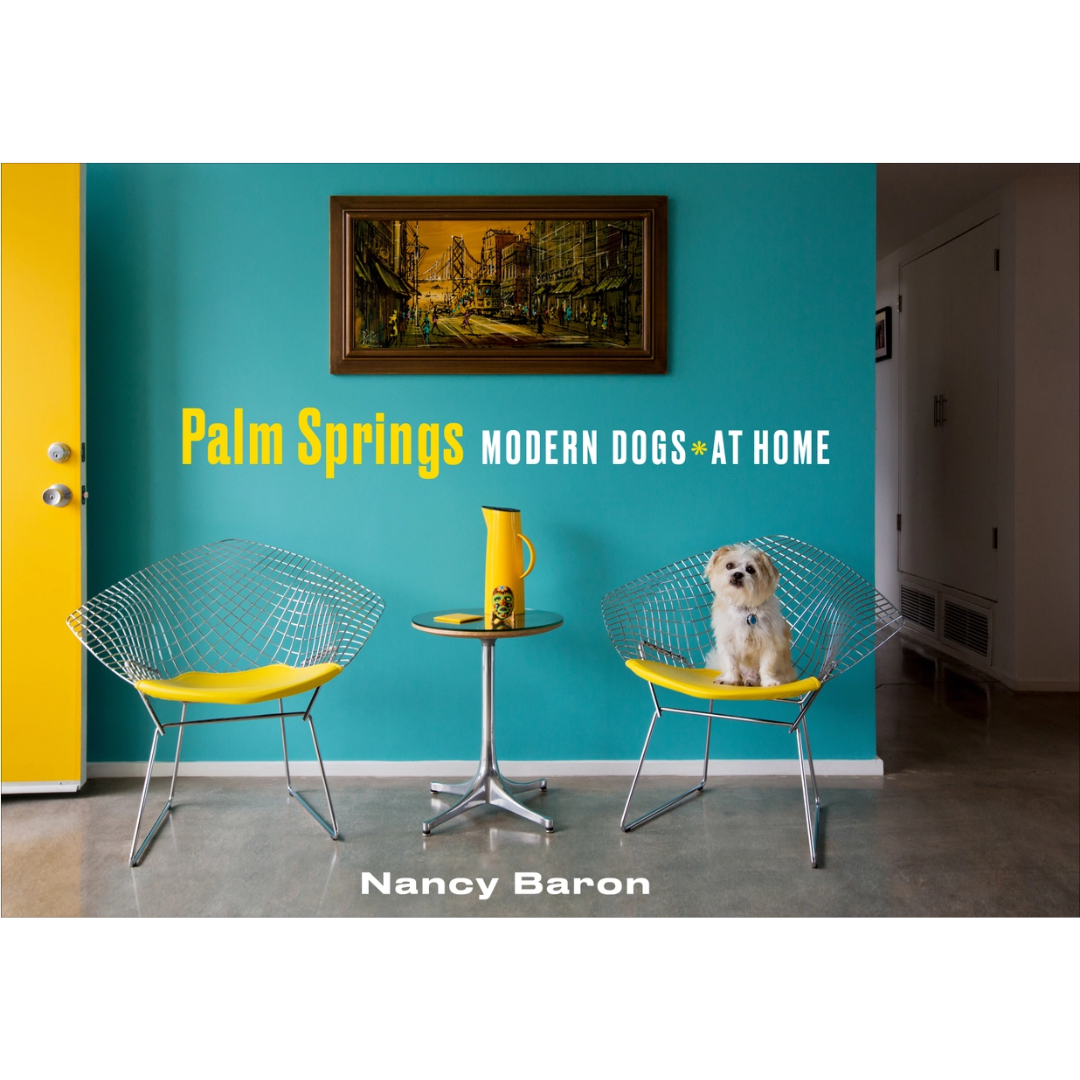 Palm Springs: Modern Dogs At Home