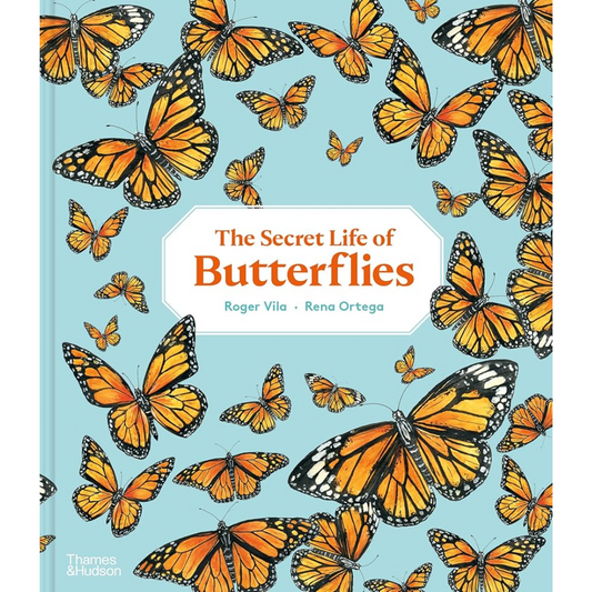 The Secret Life of Butterflies