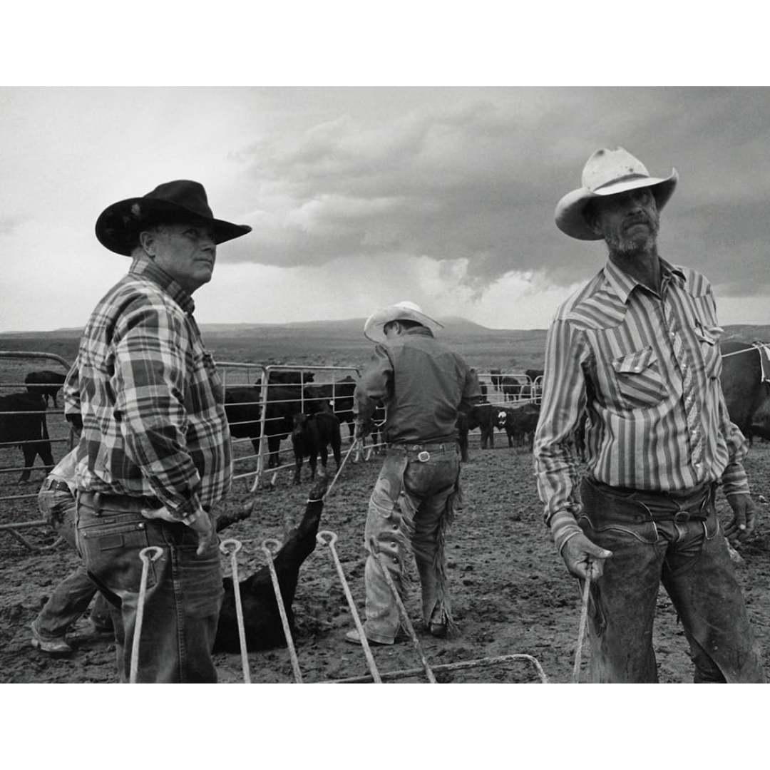 John Langmore: Open Range