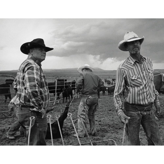 John Langmore: Open Range