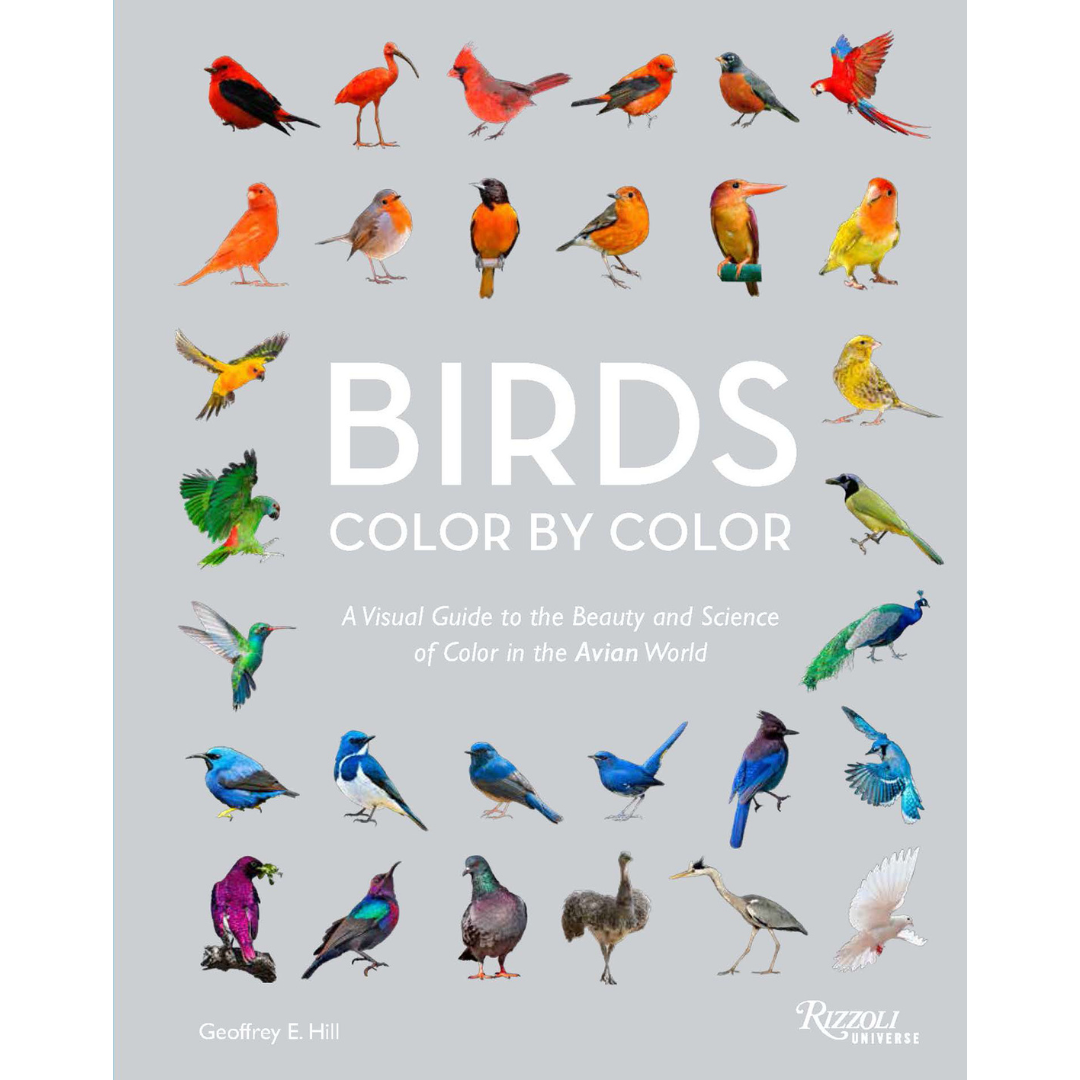 Birds Color by Color: A Visual Guide to the Beauty and Science of Color in the Avian World