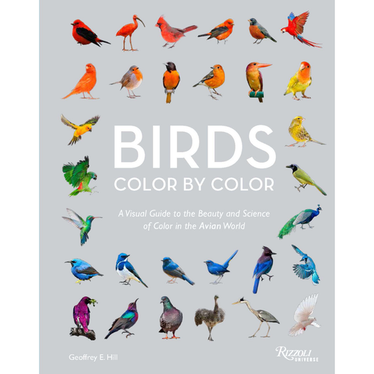 Birds Color by Color: A Visual Guide to the Beauty and Science of Color in the Avian World