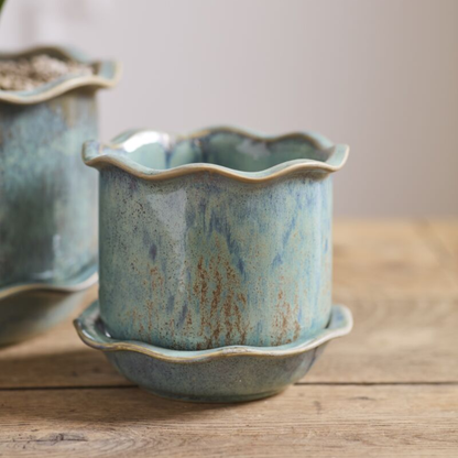 Aurina Planter