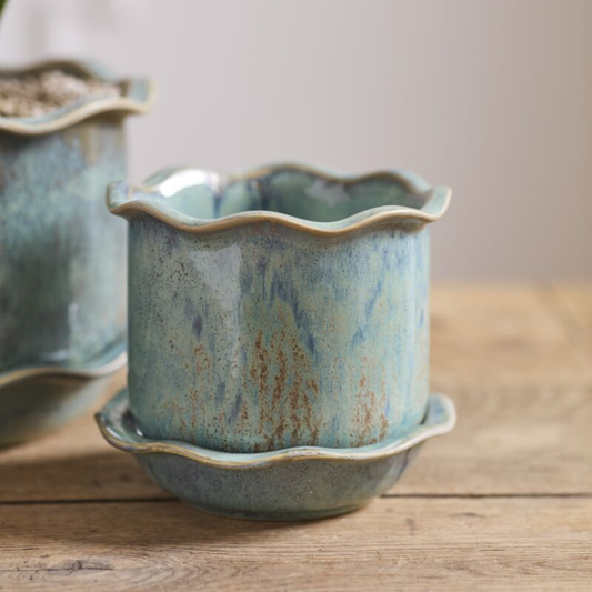 Aurina Planter