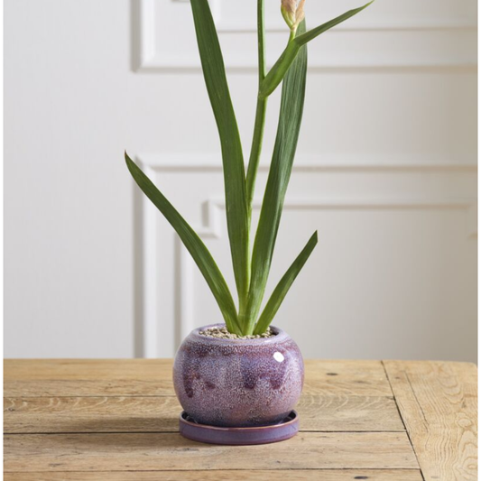 Casey Planter