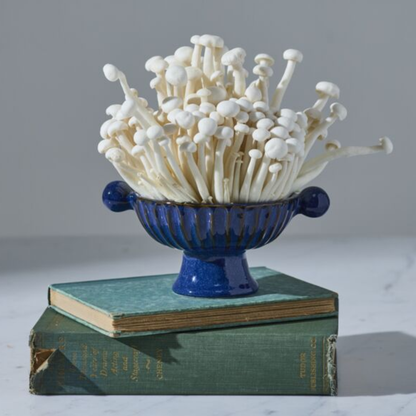 Finnegan Bowl
