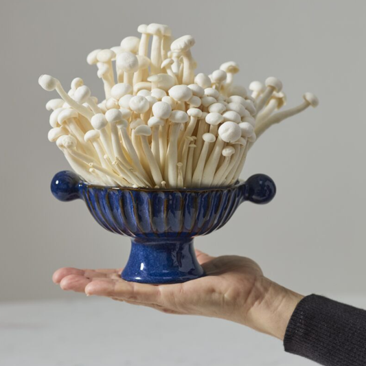 Finnegan Bowl