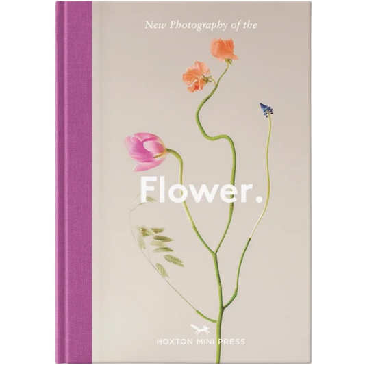 Flower.