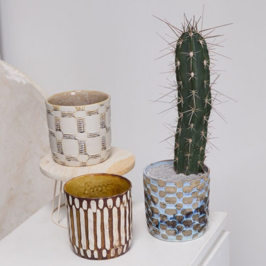 Anselm Pot Collection