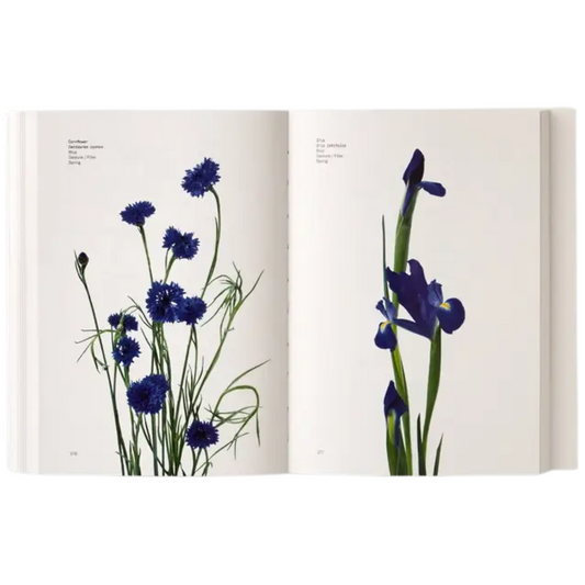 Flower Color Guide