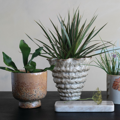 Herb Volcano Vase