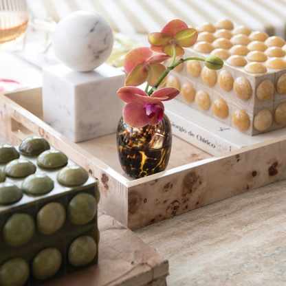 Collette Tortoise Bud Vase Collection