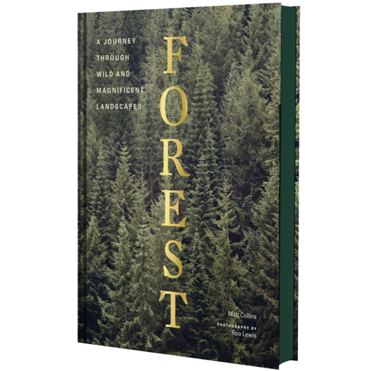 Forest: A Journey Through Wild and Magnificent Landscapes
