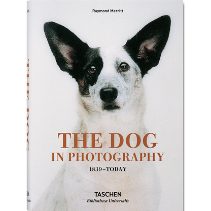 Dogs in Photography 1839 - Today