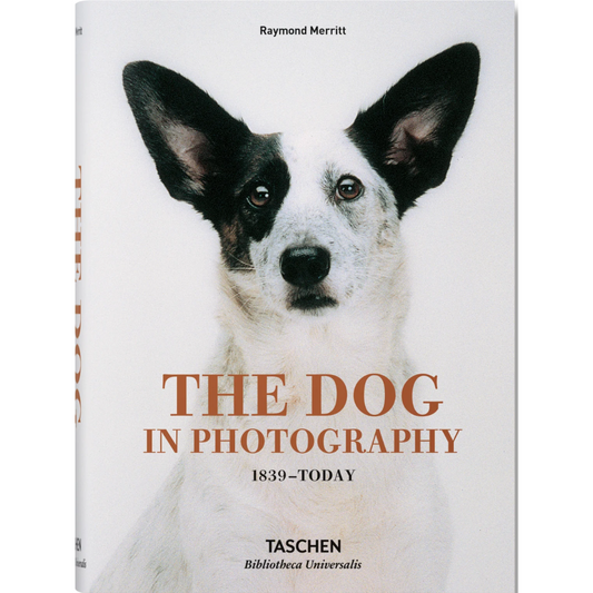 Dogs in Photography 1839 - Today