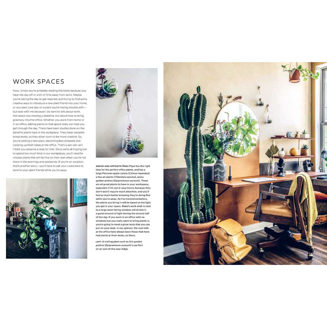 Wild Interiors: Beautiful Plants in Beautiful Spaces