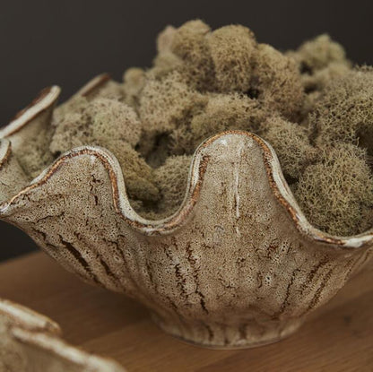 Caraway Bowl Collection