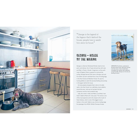 Cool Dogs, Cool Homes: Living in Style with Your Pet Pooch