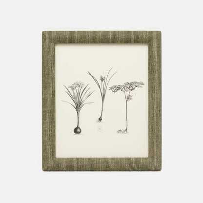 Kemi Frame Collection