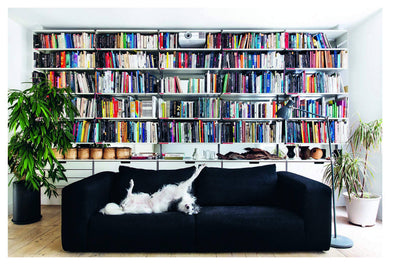 Resident Dog Volume Two: Incredible Homes and the Dogs Who Live There