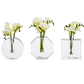 Crystal Bud Vase Collection