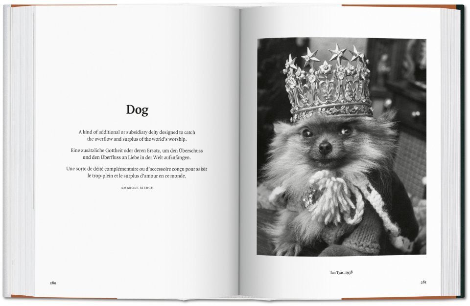 Dogs in Photography 1839 - Today