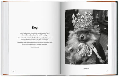Dogs in Photography 1839 - Today